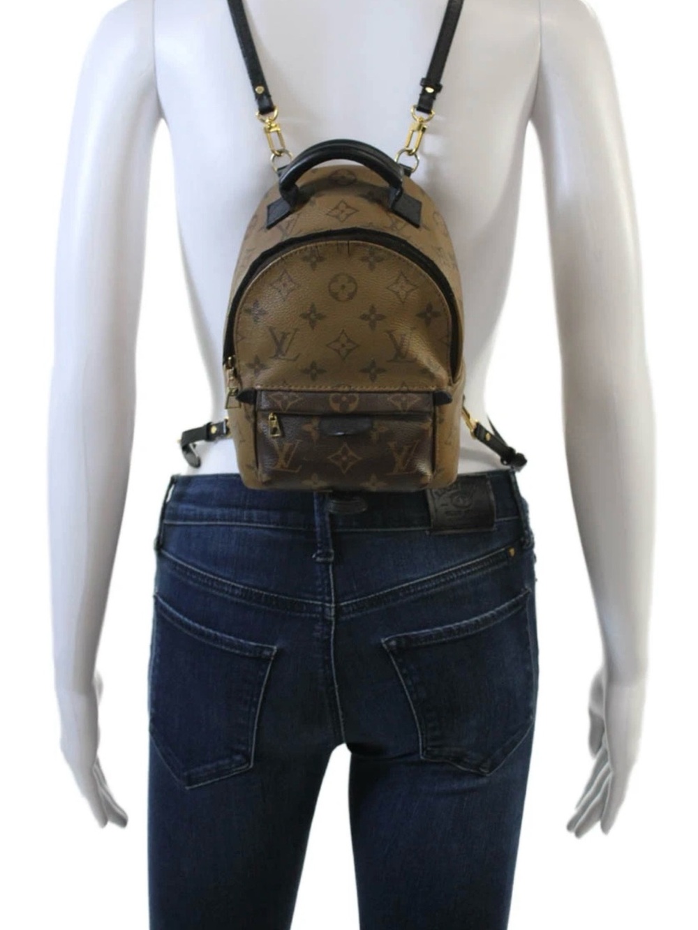 Louis Vuitton Palm Springs Backpack Reverse Monogram Canvas Mini - Picture 2 of 13